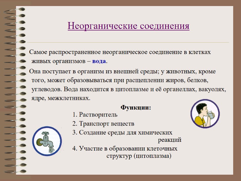 Неорганические соединения     Самое распространенное неорганическое соединение в клетках живых организмов